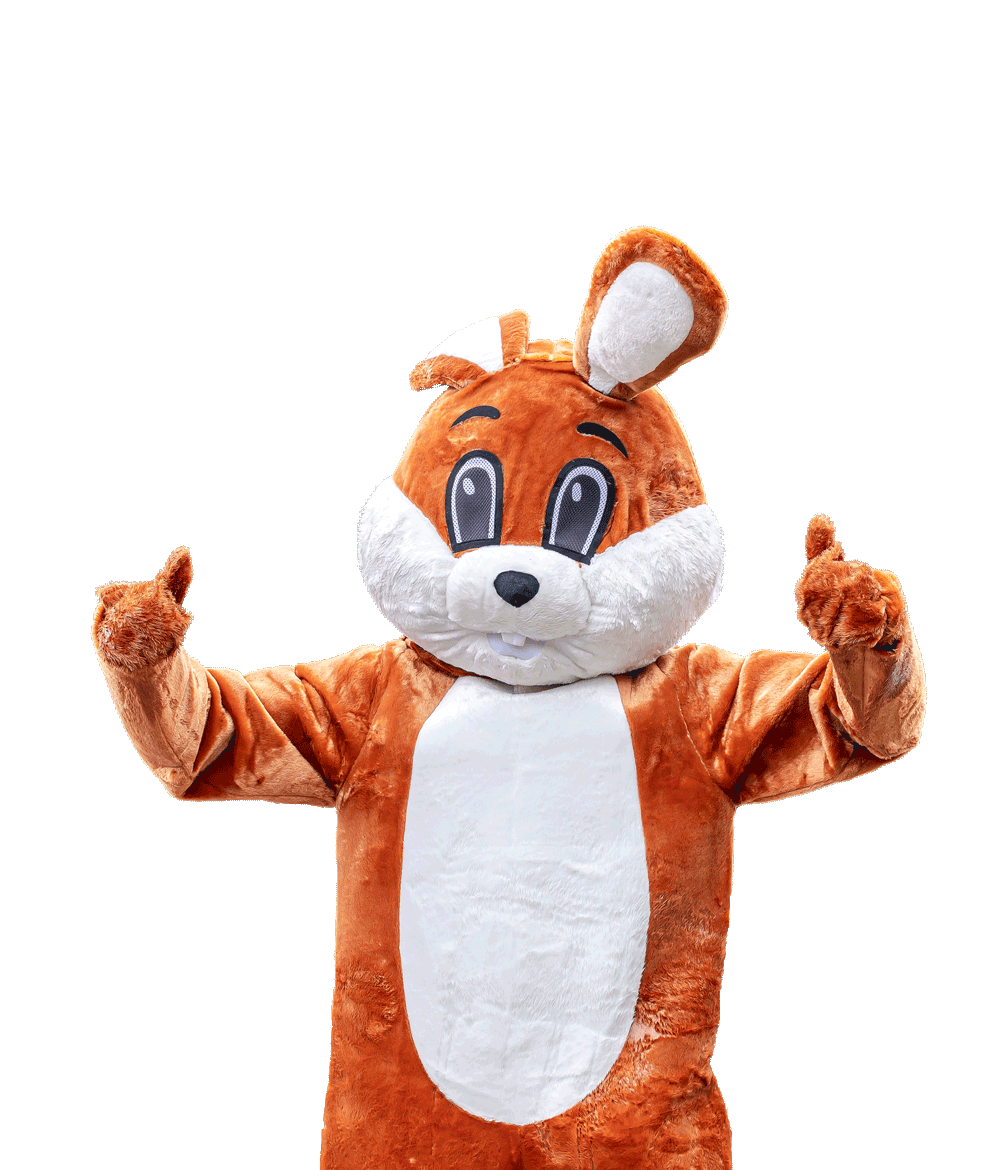 Wernsen Haas Mascotte November Actie